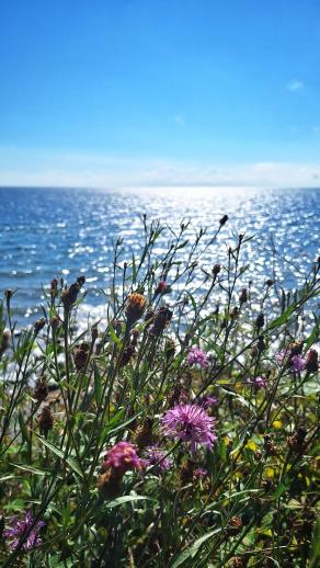 Radreise Dänemark 2025 #400, Fyn, Sjælland, Møn, Lolland, Langeland, Ærø, August 2025